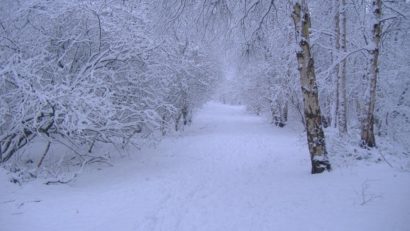 Vreme rece, ninsori şi polei în aproape toată ţara