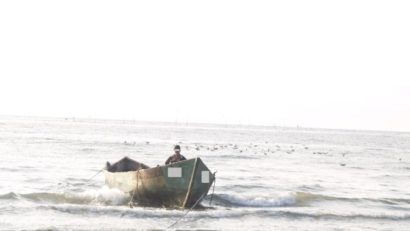 Delta Dunării: COD GALBEN de VÂNT