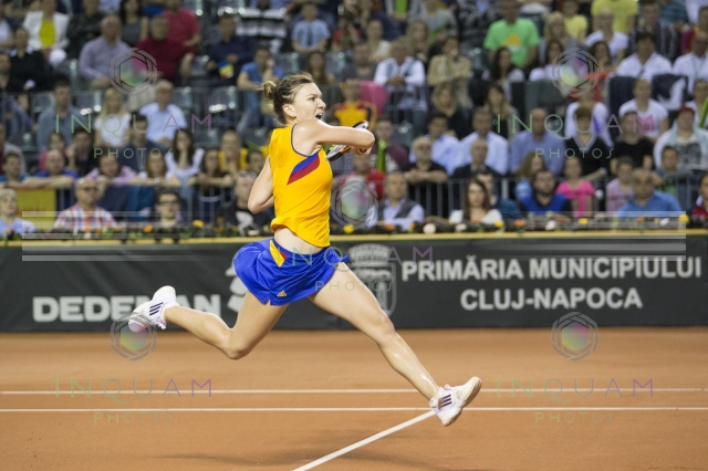 Halep şi Begu continuă azi lupta calificării în Fed Cup