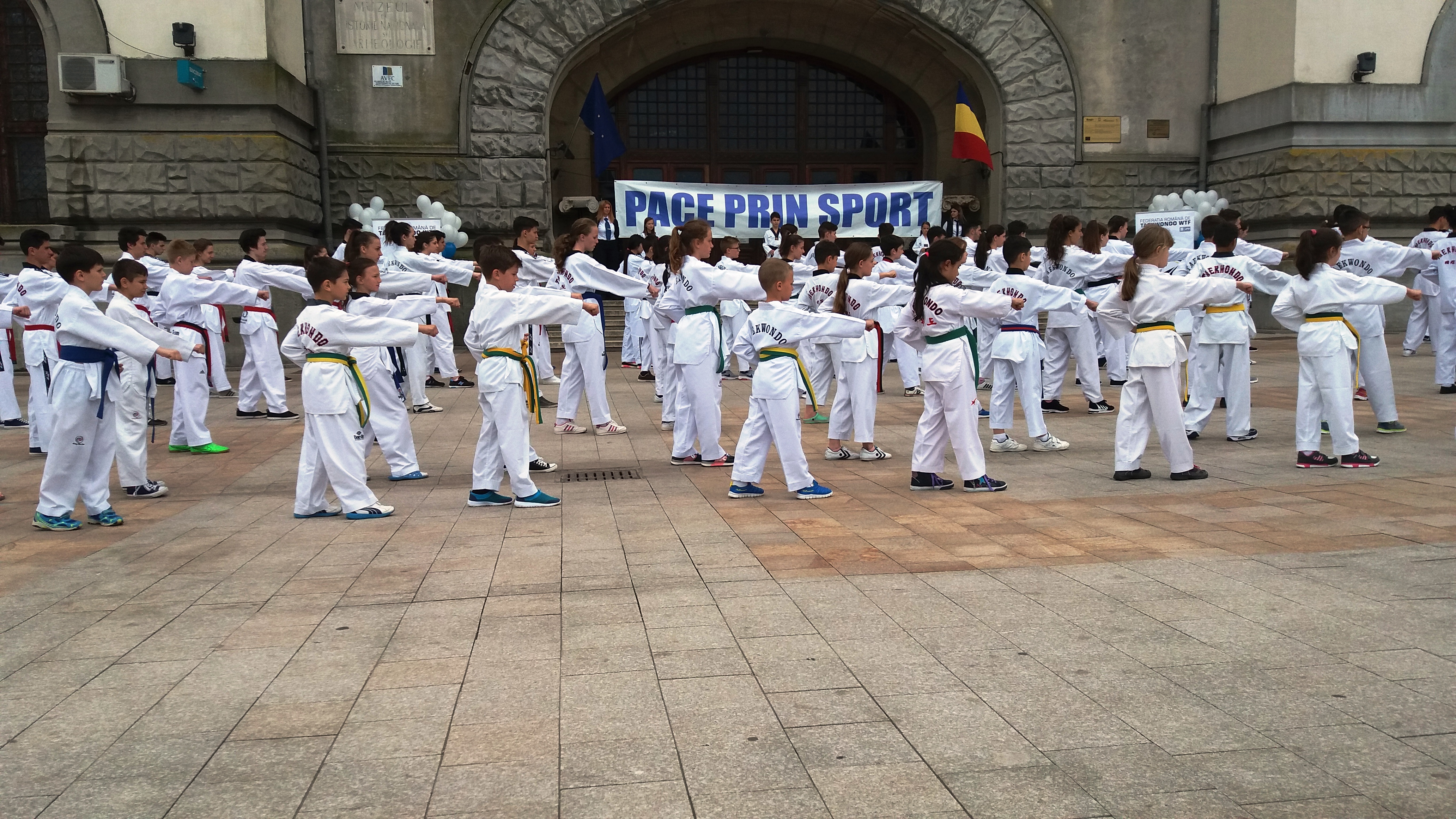 Pace prin sport, demonstrație a luptătorilor de taekwondo