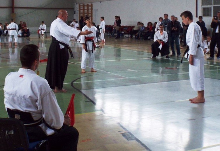 Douăsprezece medalii cucerite la Cracovia de CS Karate Traditional Eforie