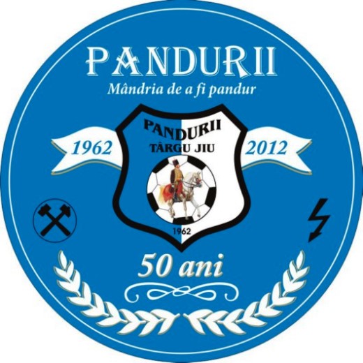 Clubul de fotbal Pandurii Tg Jiu nu a scăpat de insolvență