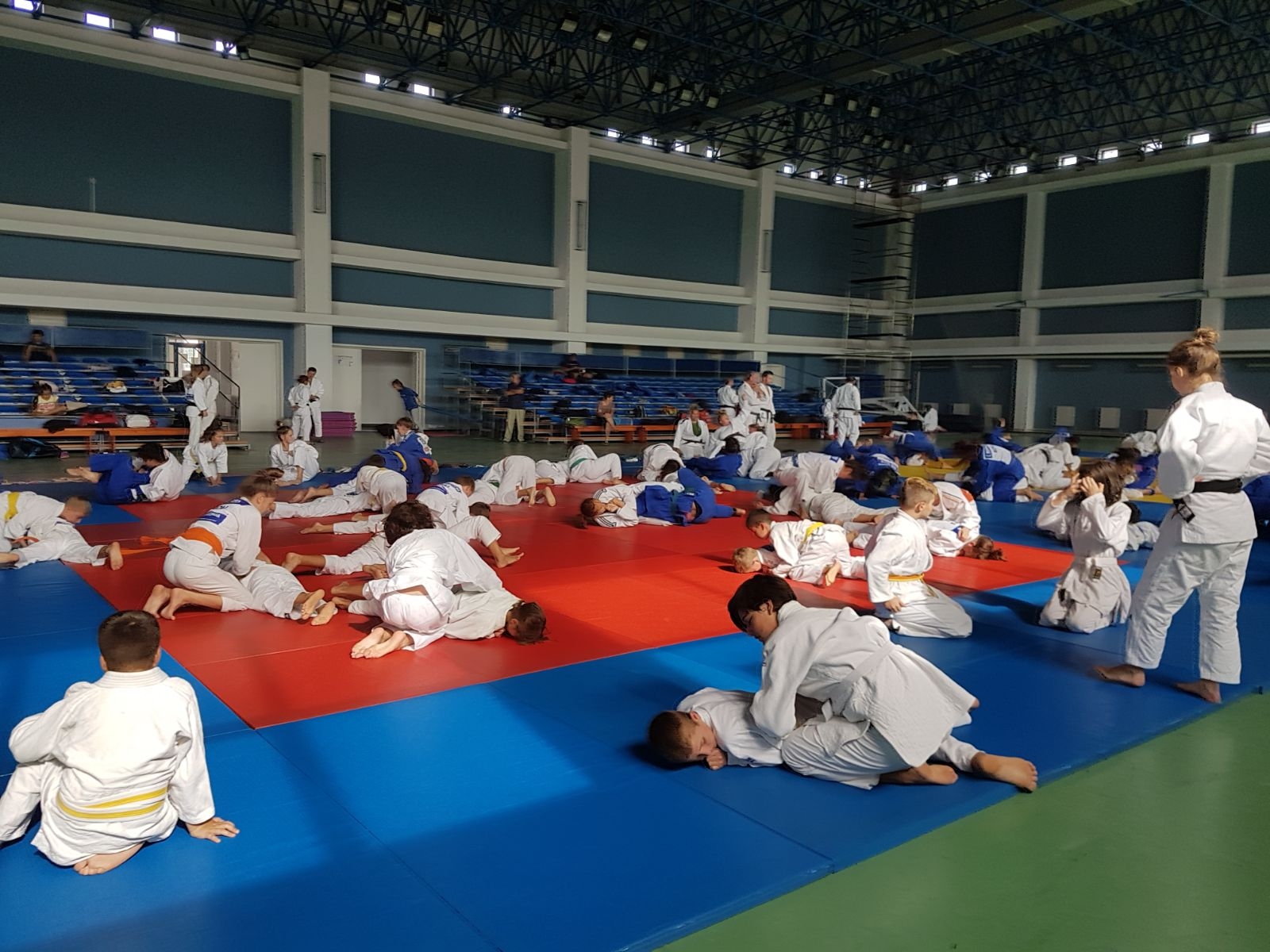 Stagiul Internaţional de judo de la Mangalia se apropie de final