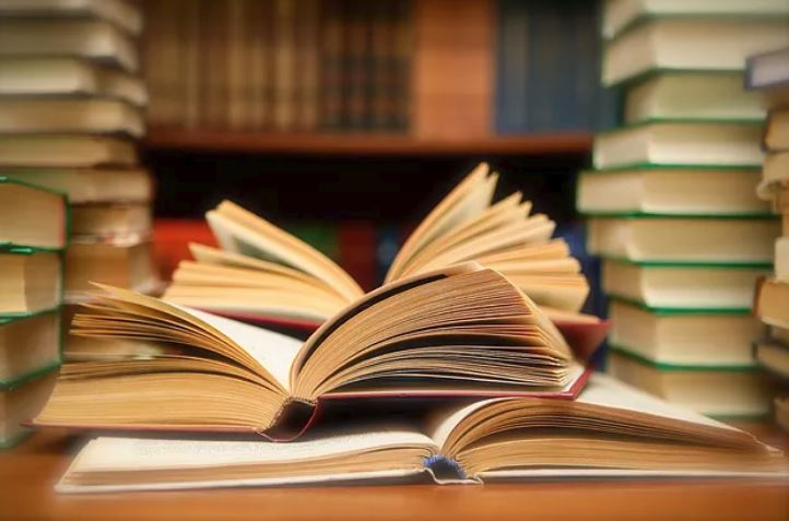 CONSTANȚA: Elevii unei școli din Năvodari au donat cărți pentru biblioteca din Dorobanțu