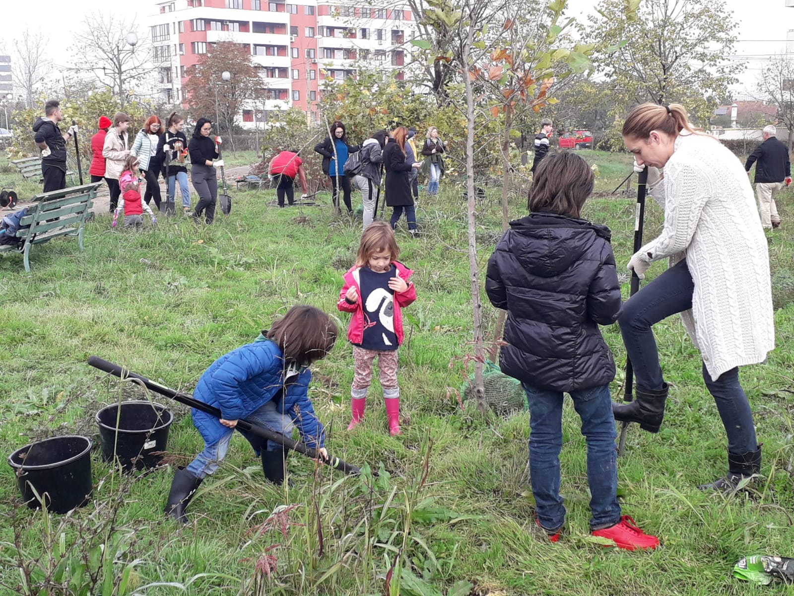 CONSTANȚA: Plantare de copaci în parcul Universității „Ovidius“ FOTO