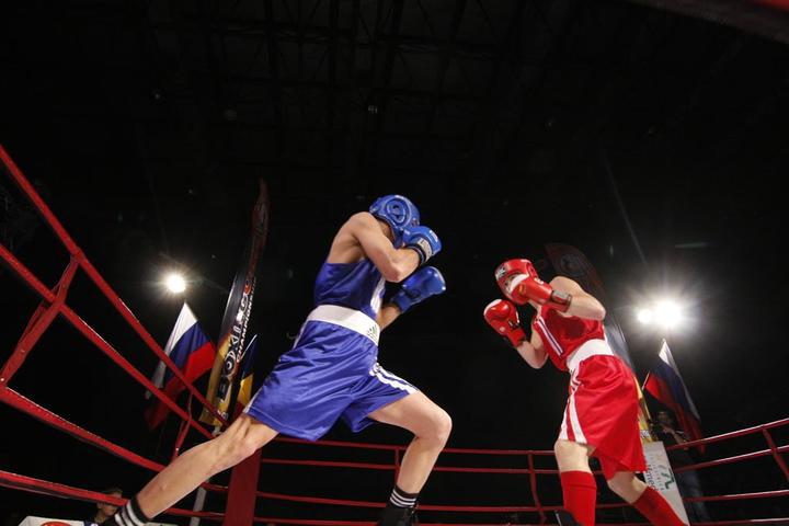 Victorii pentru pugiliștii de la CSM Constanța