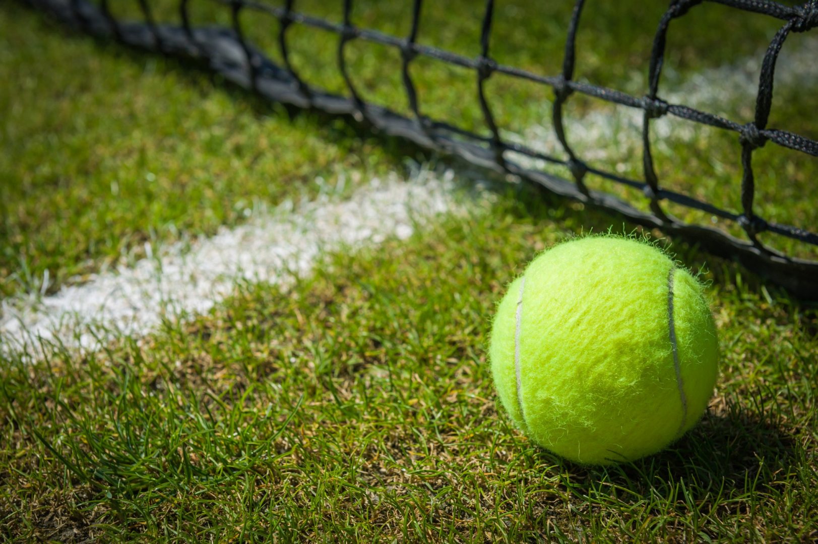 Programul româncelor care evoluează marți la Wimbledon