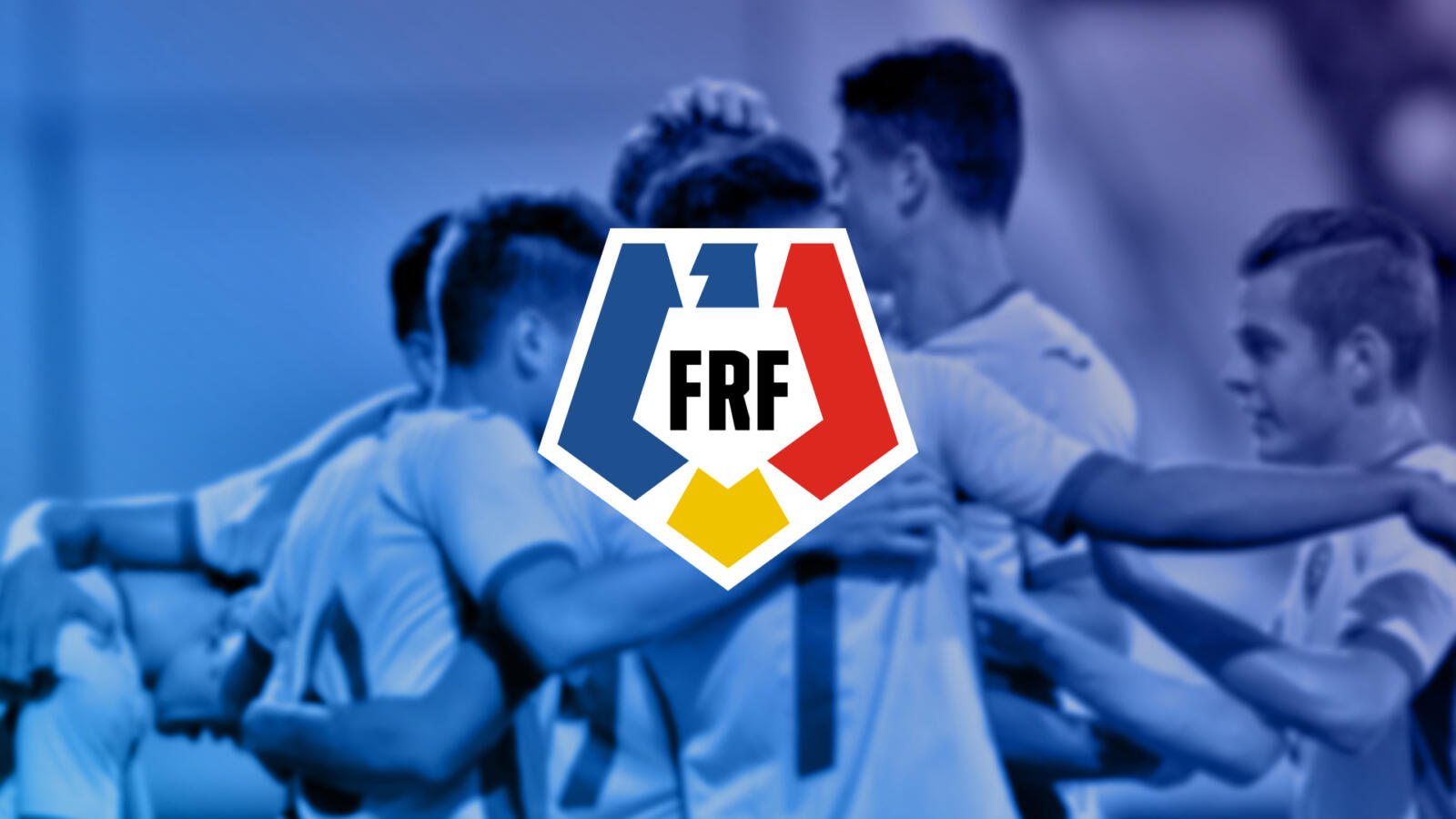 FRF precizează că UEFA nu a autorizat cererea federaţiei maghiare de afişare a steagului Ungariei Mari