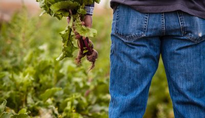 fermier - foto - unsplash