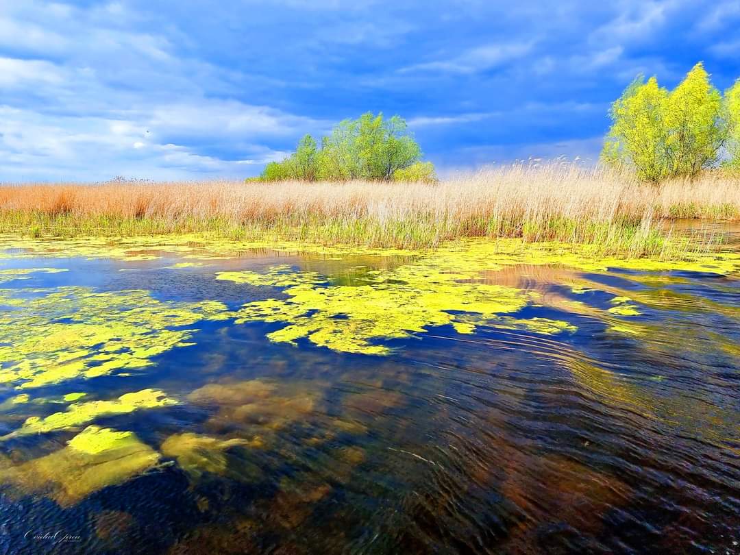 AUDIO | Ce îi atrage pe turiști în Delta Dunării, în afară de floră și faună