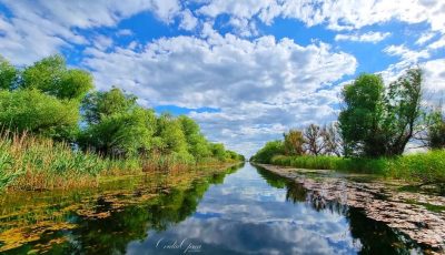 delta dunarii 2 foto ovidiu oprea