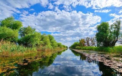 delta dunarii 2 foto ovidiu oprea