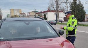 actiune politie - foto - IPJ Constanta