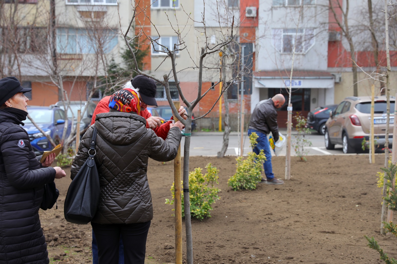 CONSTANȚA: A fost inaugurat primul parc cu mesteceni amenajat în memoria celor dragi