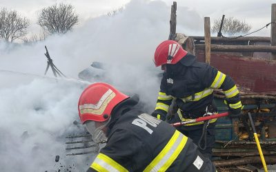 pompieri, foc, incendiu - foto - ISU DELTA Tulcea