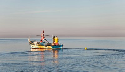 pescari, pescuit - foto - unsplash