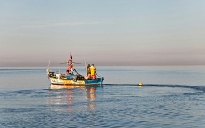 pescari, pescuit - foto - unsplash