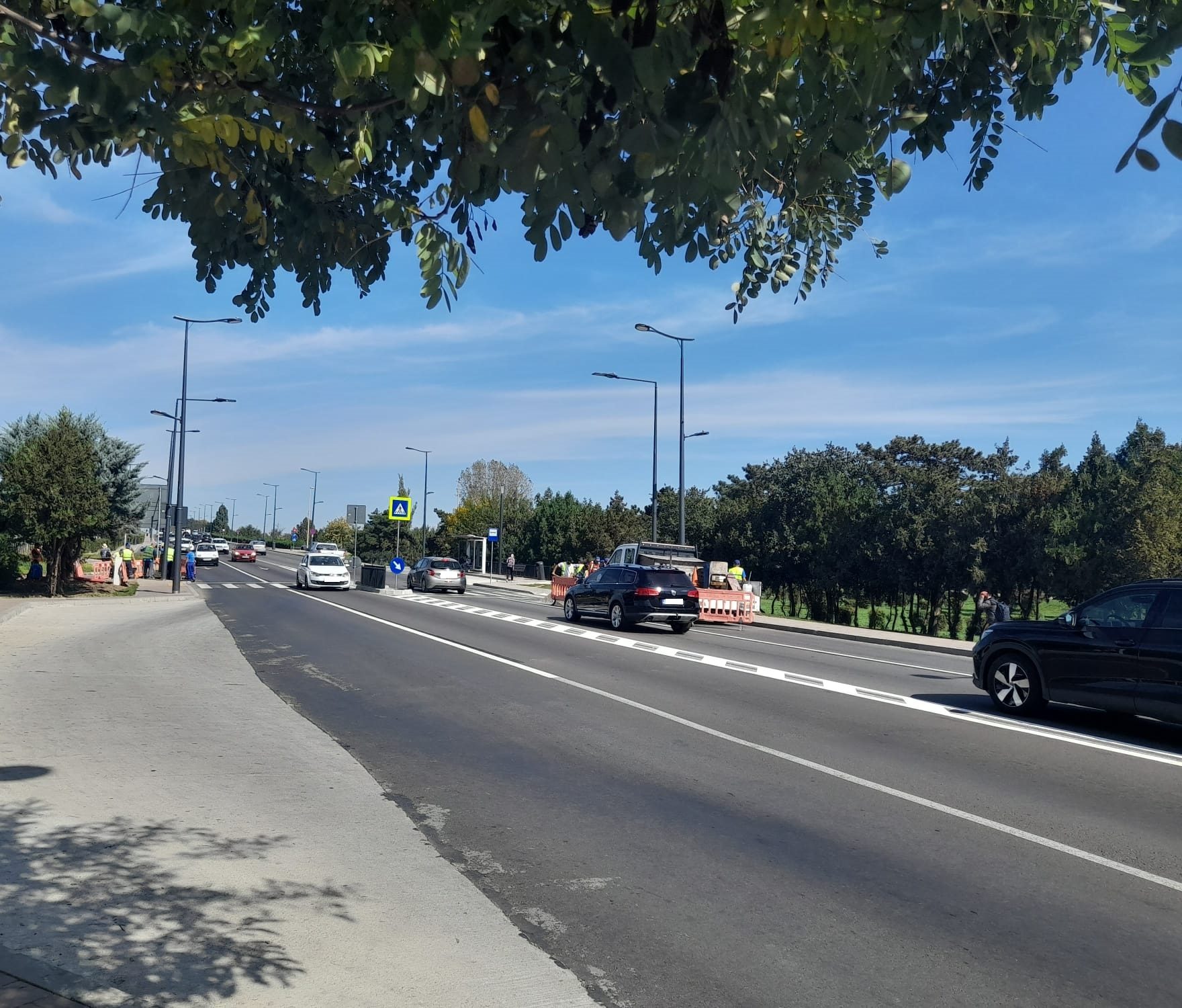 masini trafic Constanta - foto - Banci