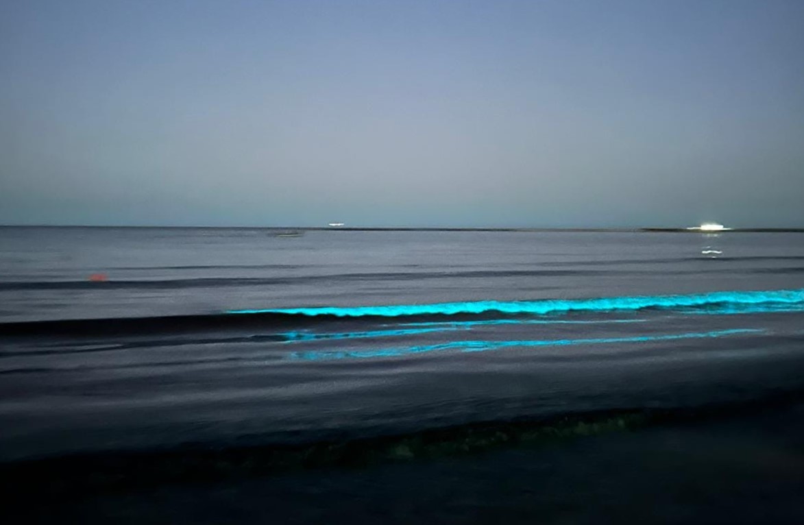 Fenomen spectaculos pe litoral: apa mării a devenit strălucitoare, datorită bioluminiscenței