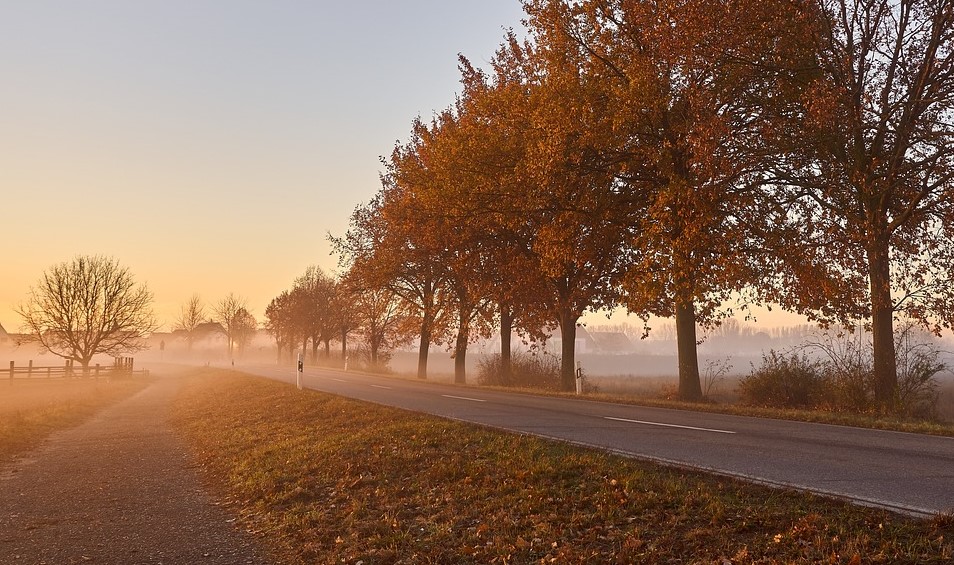 Vreme frumoasă și caldă, în Dobrogea