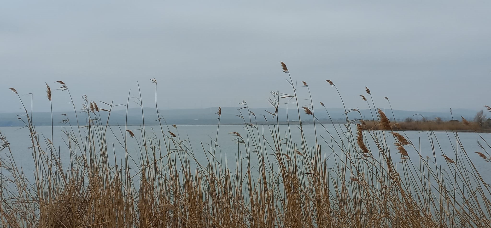 Vreme închisă, cu temperaturi în scădere, în Dobrogea