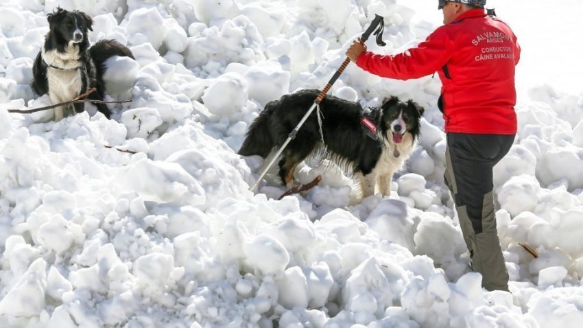 Turişti constănțeni, inclusiv 5 copii, ajutați de salvamontişti să ajungă la telecabina Babele, într-o zonă cu risc mare de avalanşă