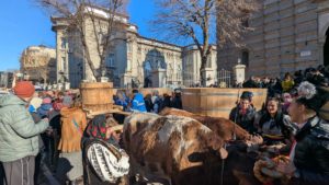 CONSTANȚA: Procesiune religioasă de Bobotează, de la catedrală până în Portul Turistic Tomis