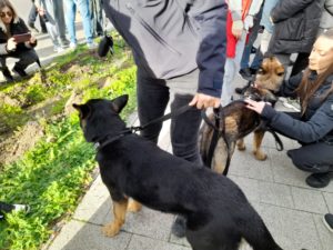 protest politisti IPJ Constanta - foto - Banci