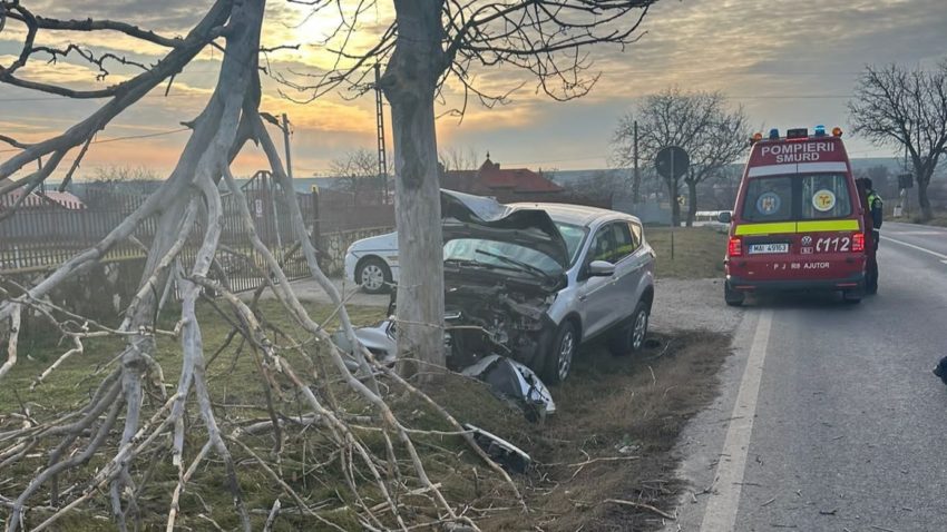 TULCEA: Accident rutier în Cataloi. Șoferul unei mașini a evitat un câine și s-a izbit de un copac