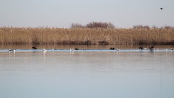 Vreme predominant frumoasă și normală termic, în Dobrogea și pe litoral