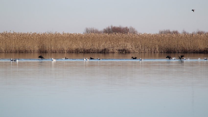 Vreme predominant frumoasă și normală termic, în Dobrogea și pe litoral