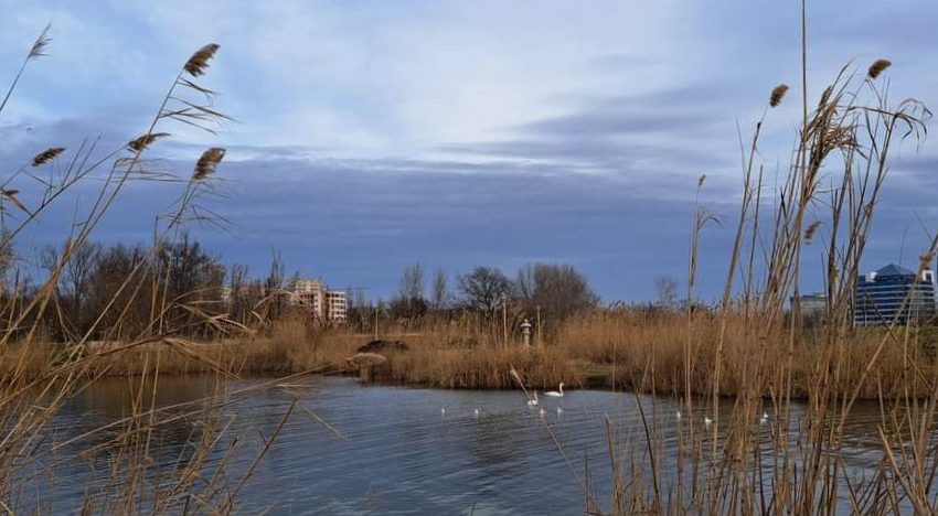 Vreme predominant închisă, dar cu temperaturi peste normalul perioadei, în Dobrogea