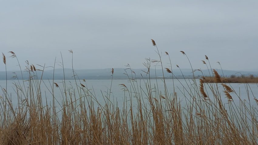 Vreme rece și închisă, în Dobrogea și pe litoral