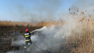 Județul TULCEA: Incendiu de vegetație lângă Somova